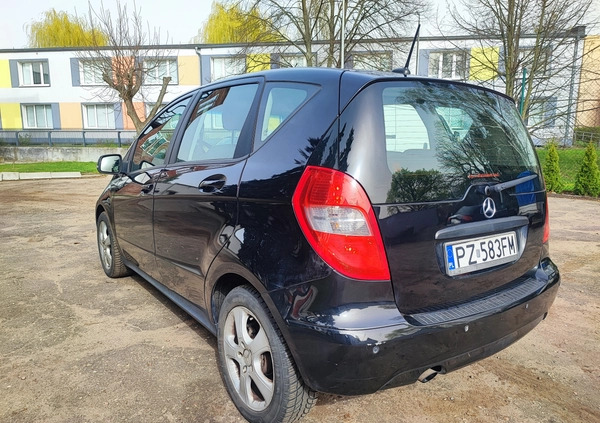 Mercedes-Benz Klasa A cena 12499 przebieg: 239790, rok produkcji 2009 z Szamotuły małe 79